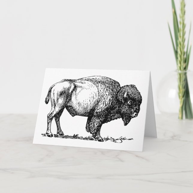 Buffel- eller Bisonhälsningkort Kort (Framsida)