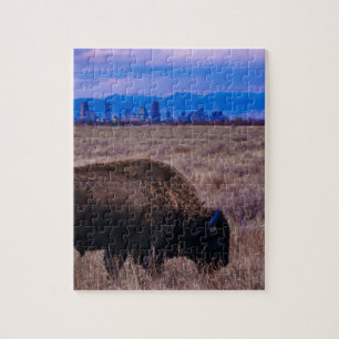 Buffel i Denver, Colorado Pussel