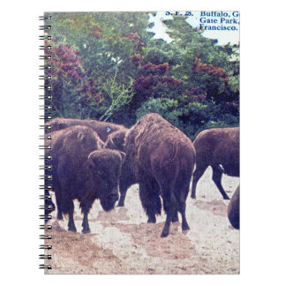 Buffel i Golden Gate Parkvintagevykort Anteckningsbok Med Spiral