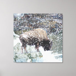 Buffel i slågen in kanvastryck för snö storm