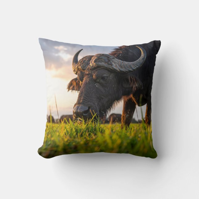 buffel kudde (Framsida)