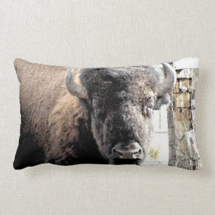 Buffel Lumbarkudde