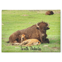Buffel med kalv magnet