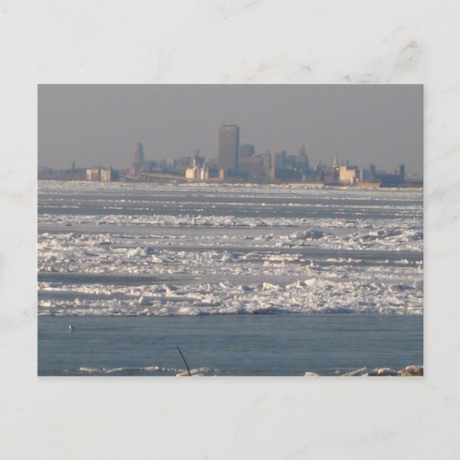 Buffel NY Vykort (Framsida)