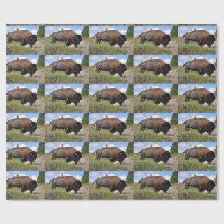 Buffel på den soliga dagen som slår in papper presentpapper