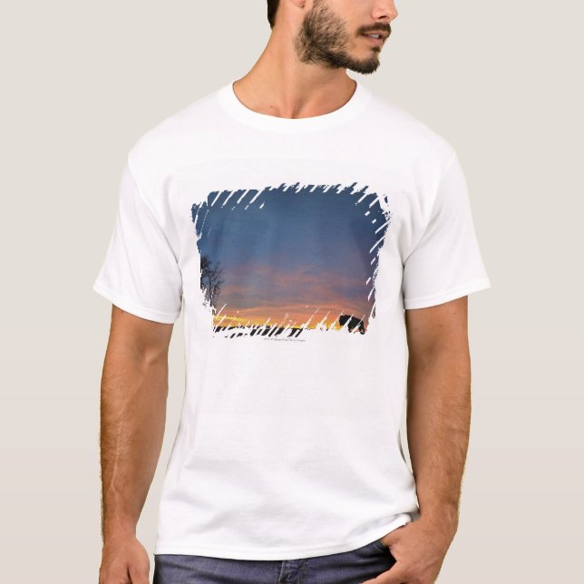 Buffel på solnedgången i älgönationalpark t shirt (Framsida)