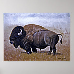 Buffel Poster