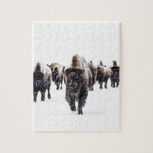 Buffel Pussel