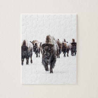Buffel Pussel