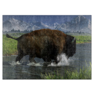 Buffel som korsar en flod