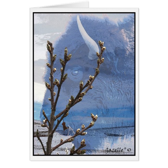 Buffelande Hälsningskort (Framsidan)