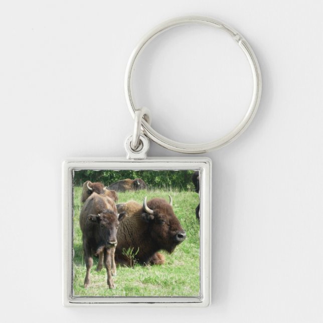 Buffelbild Keychain Fyrkantig Silverfärgad Nyckelring (Framsidan)