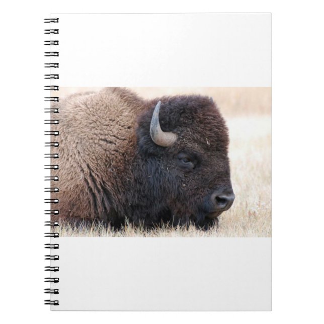 BuffelBison upp slut Anteckningsbok (Framsidan)