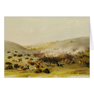 Buffeljakt, Surround, c.1832 Hälsningskort