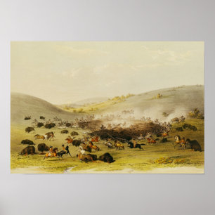 Buffeljakt, Surround, c.1832 Poster
