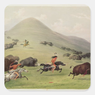 Buffeljakten, c.1832 fyrkantigt klistermärke