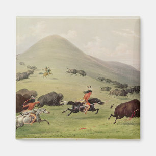 Buffeljakten, c.1832 magnet