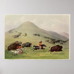 Buffeljakten, c.1832 poster