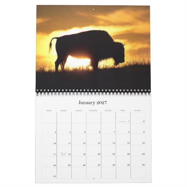Buffelkalender 2012 kalender (Jan 2027)