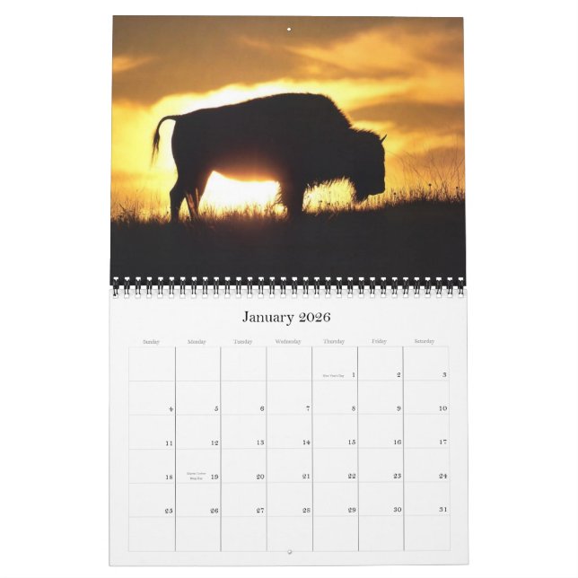 Buffelkalender 2012 kalender (Jan 2026)