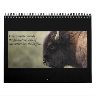 Buffelkalender 2013 kalender