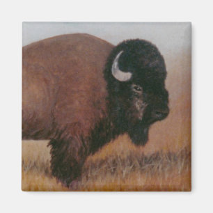 Buffelmagnet Magnet