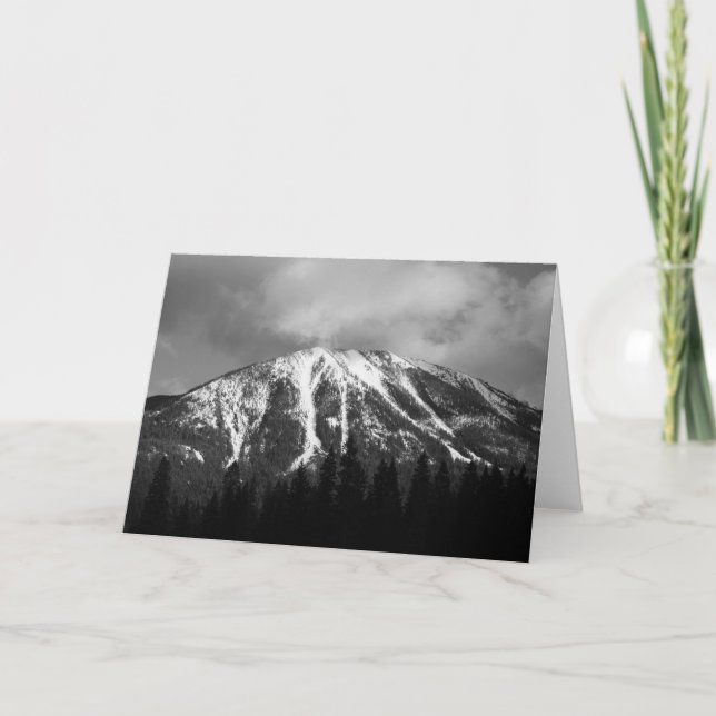 Buffeln ha sex med i snön kort (Framsida)