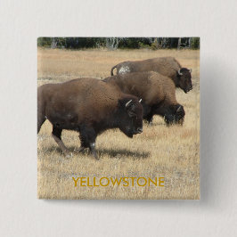 Buffeln Yellowstone knäppas Knapp