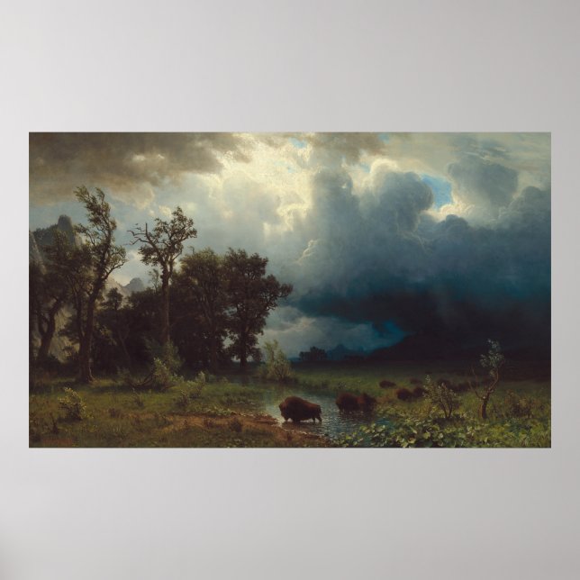 Buffelslinga: Den överhängande stormen Poster (Framsidan)
