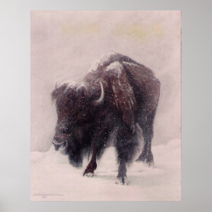 Buffelsnöstormtryck Poster