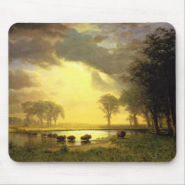 Buffelspåret, Albert Bierstadt Musmatta