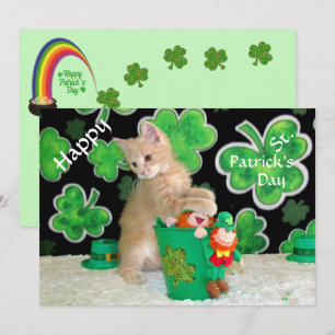 Buffingtons platta kort för St. Patrick-Day - katt