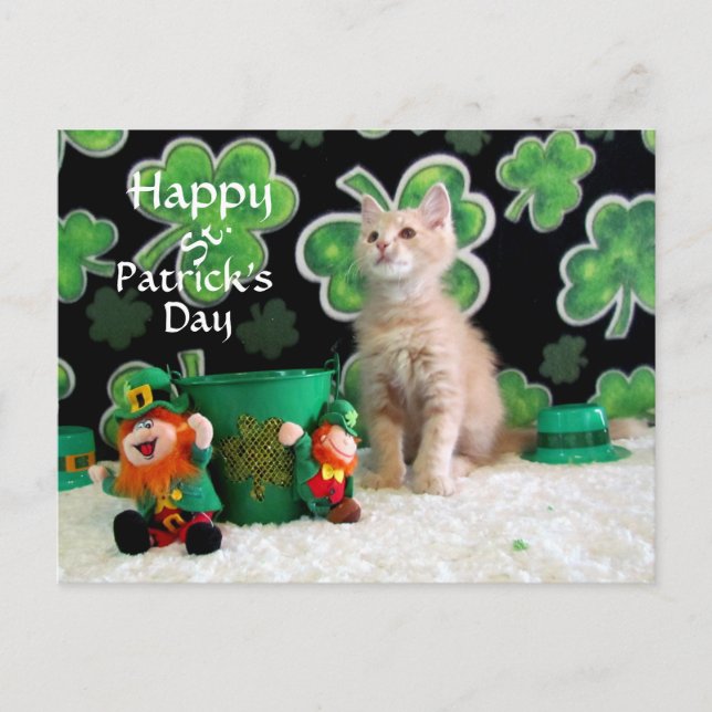 Buffingtons St. Patrick's Day Cat / Kitten Vykort (Framsida)