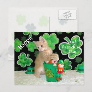 Buffingtons vykort för St. Patrick-Day - katt
