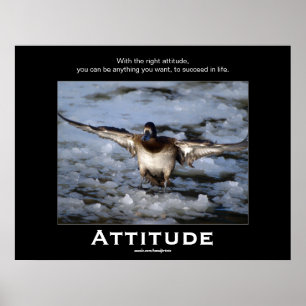 Bufflehead Anka Attitude Motivational Poster