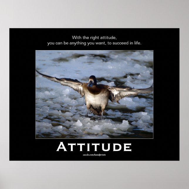 Bufflehead Anka Attitude Motivational Poster (Framsidan)