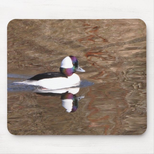 Bufflehead Anka med reflektion Musmatta (Framsidan)