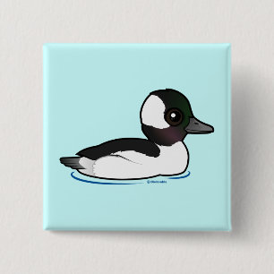 Bufflehead Knapp
