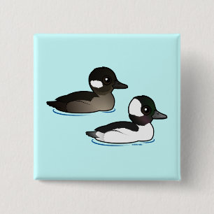 Bufflehead Pair Knapp