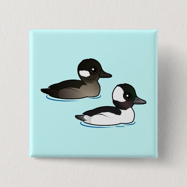 Bufflehead Pair Knapp (Framsida)