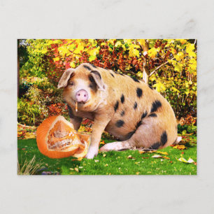 "Buffys Pumpkin" Vykort