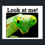 BUG 3 POSTER<br><div class="desc">WALL ART</div>