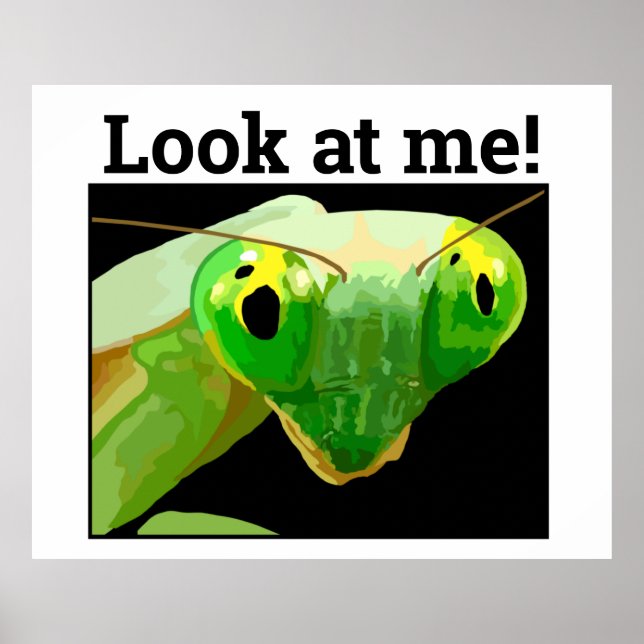 BUG 3 POSTER (Framsidan)