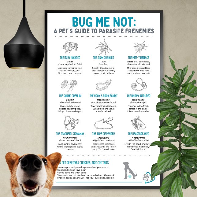 Bug Me Not - A Pet’s Guide to Parasite Frenemies Poster (Skapare uppladdad)