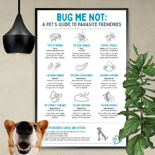 Bug Me Not - Ett husdjurs guide till parasitiska o Poster
