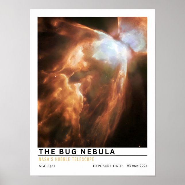 Bug Nebula Rymdutbildning Poster (Framsidan)