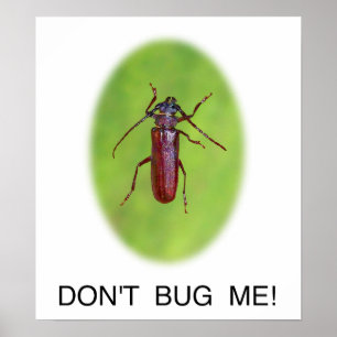 "Bugga inte mig!", Affisch