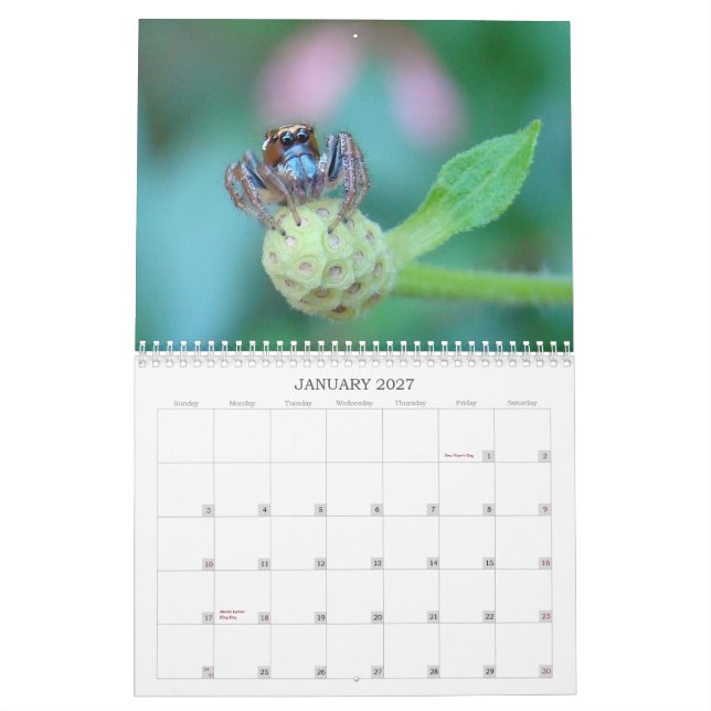 Bugga mig! kalender (Jan 2027)