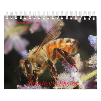 Buggar och blommor Kalender