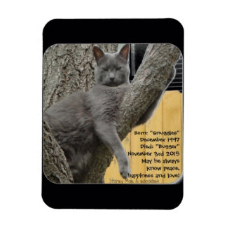 Bugger Baby 1997-2015 Magnet